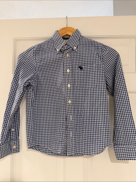 abercrombie kids Other - abercrombie kids Blue & White Gingham Button-Down Shirt